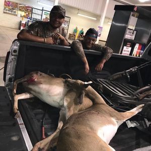 Meet your Posher, Garett